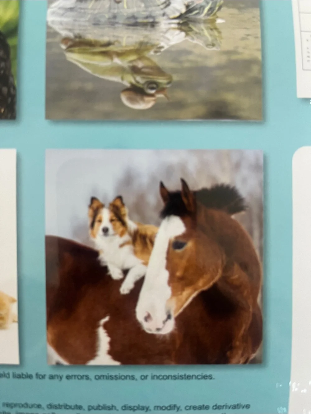 Buddies 2027 Pets Calendar - Cream